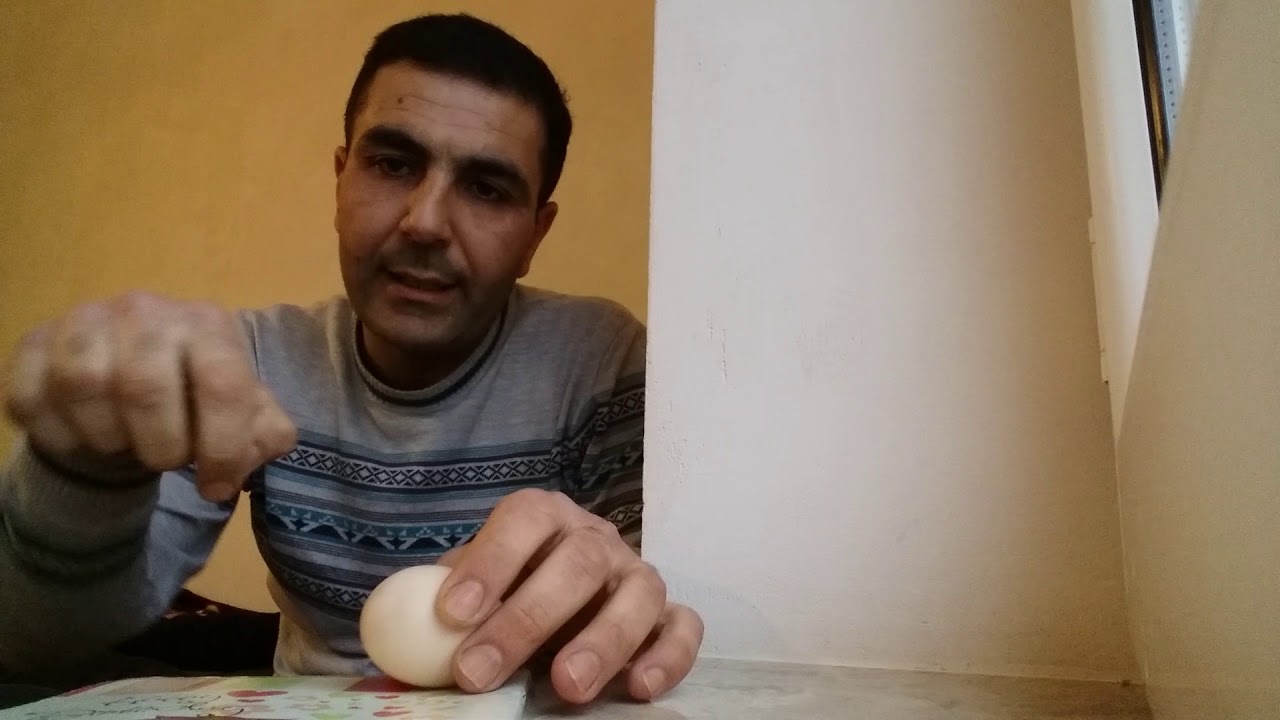 İnkubatorda Qaz yumurtası necə olmalıdır.