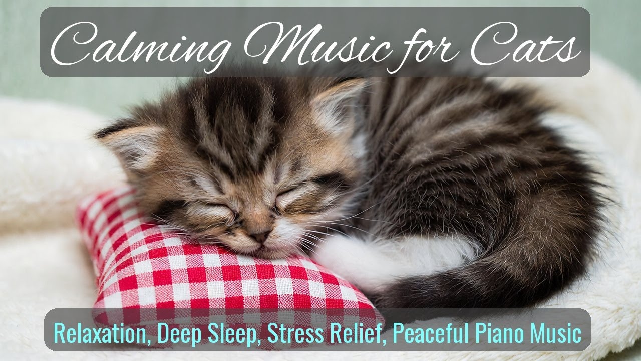 Calming Music for Cats - Relaxation, Deep Sleep, Stress Relief, Peaceful Piano Music | Season 80