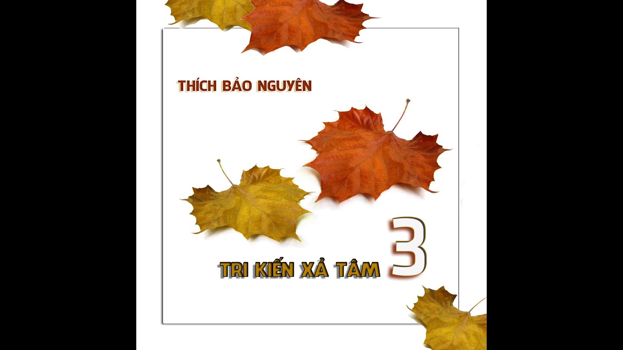 TỨ NIỆM XỨ - Thầy Thích Bảo Nguyên - Giảng ngày: 11/12/2012