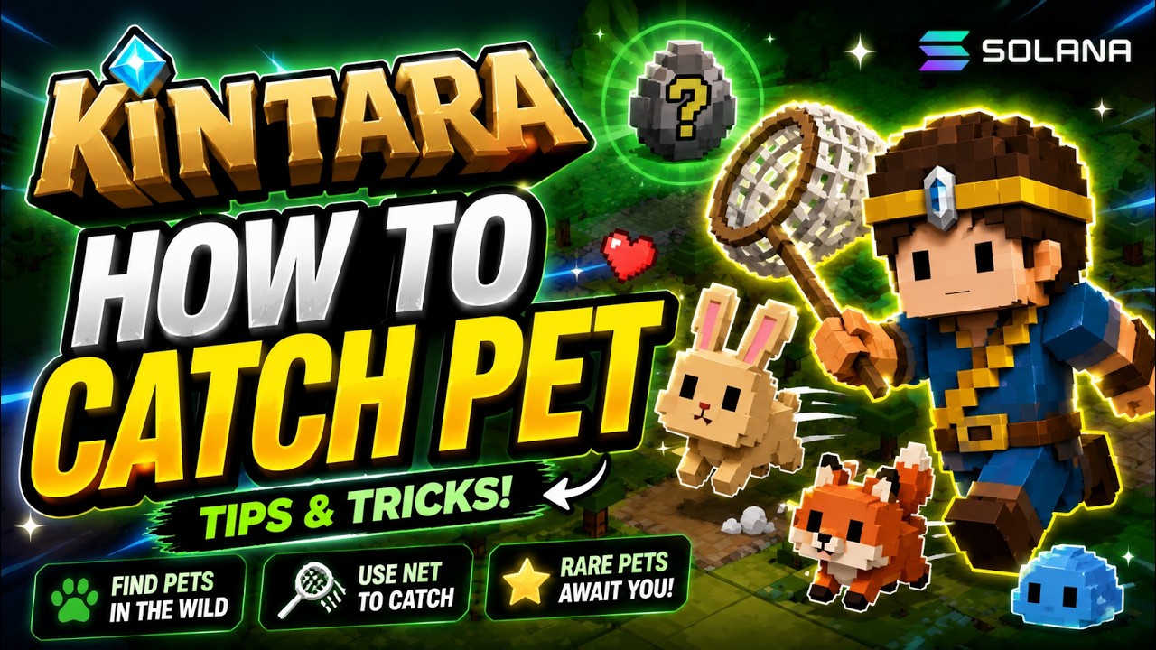 KINTARA PAANO MAGLARO AT MAGKA-PET