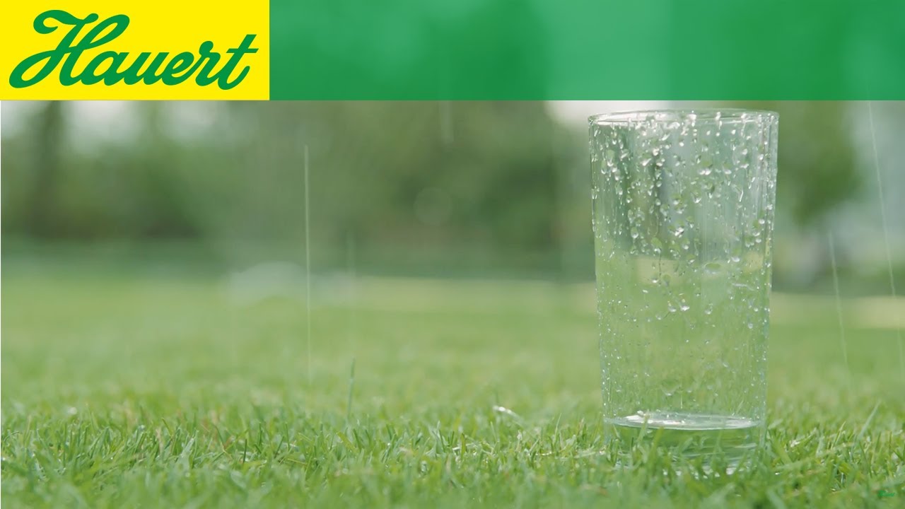 Rasen richtig bewässern. Tipps & Tricks für einen schönen Rasen