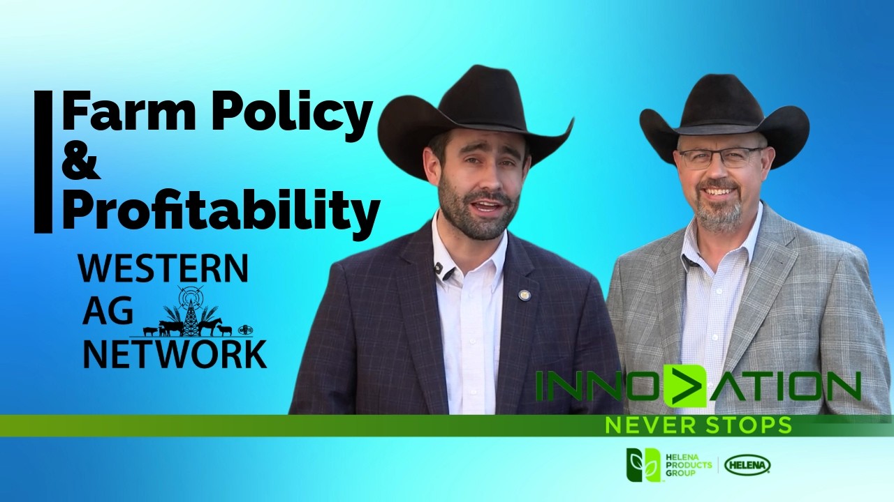 Wheat & Corn Leadership Talks Farm Policy & Profitability