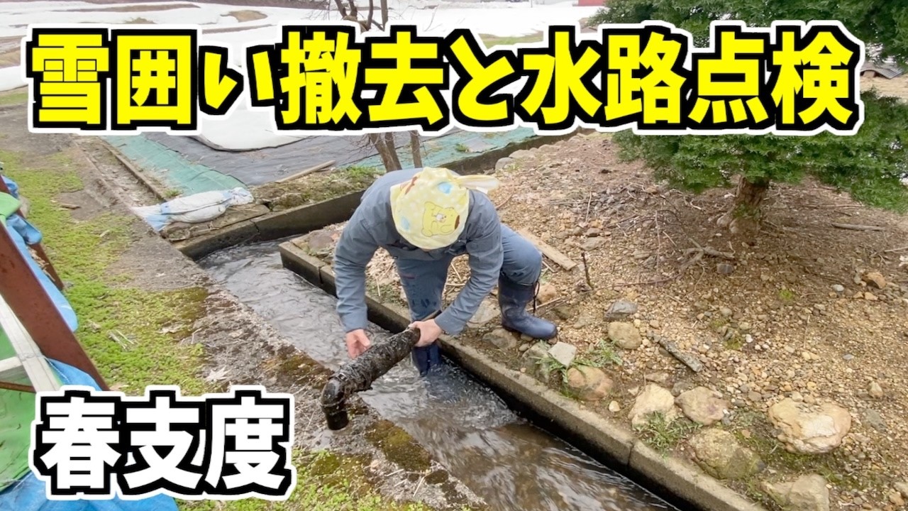 2025-04-19（土）雪解けが進から雪囲い外しと、また水路の点検！