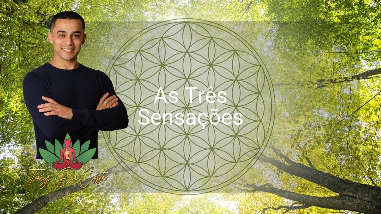 #6--Chamas Gêmeas | As Três Sensações