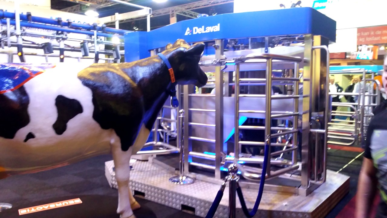 Rundvee En Mechanisatie Vakdagen 2016