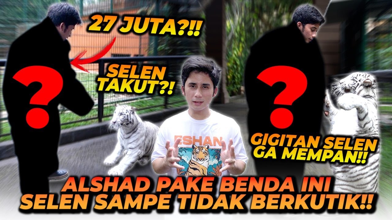ALSHAD PAKE BENDA INI SAMPE SELEN TIDAK BERKUTIK ! G1G1TAN DAN C4KARAN SELEN TIDAK MEMPAN !