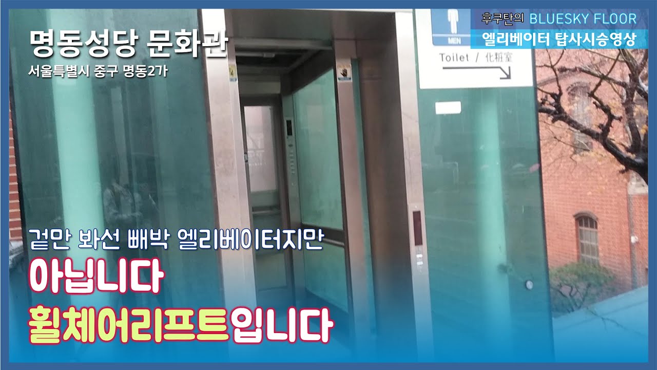 [KOREA elevator...??]빼박 엘리베이터겠지만 수직형 휠체어리프트임😲 | 서울특별시 중구 명동2가 명동성당 문화관 (주)에스디 휠체어리프트
