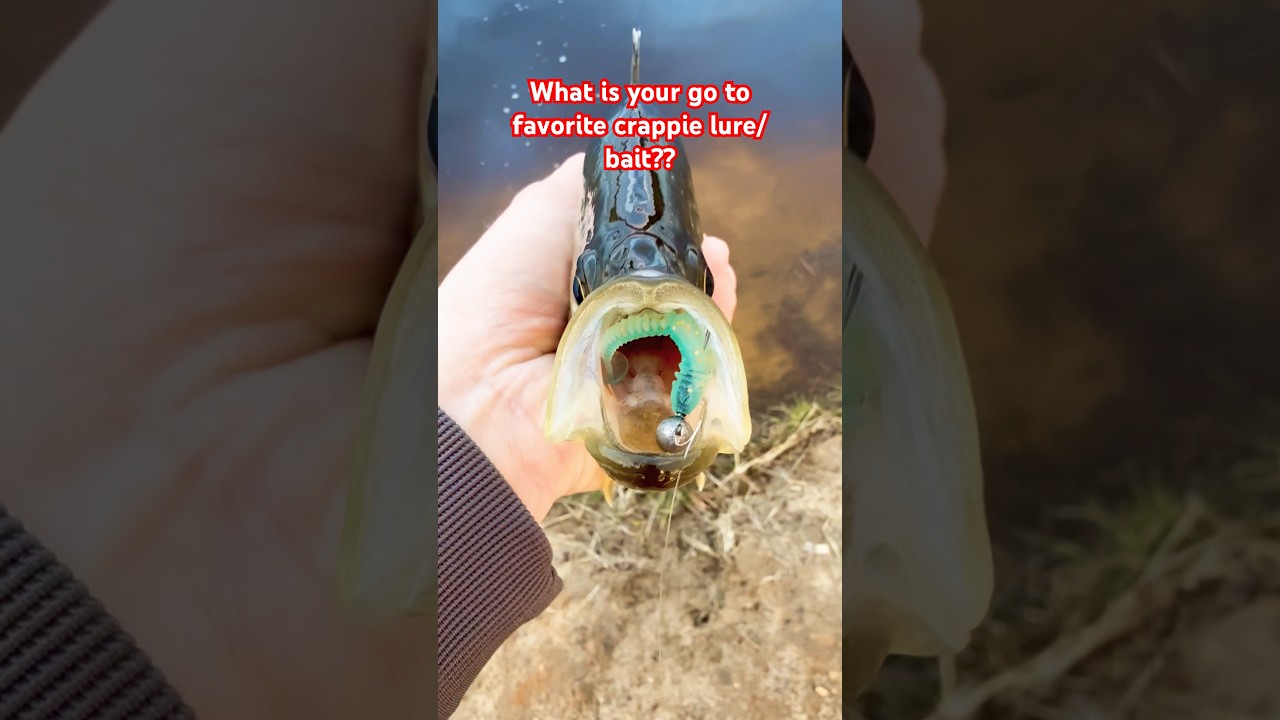 THE BEST CRAPPIE LURE!