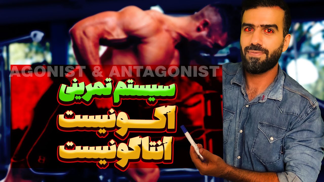 نوشتن برنامه تمرینی با سیستم آگونیست آنتاگونیست | آموزش طراحی تمرین حرفه ای