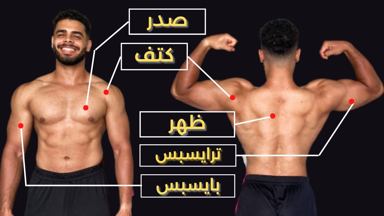 بالتفصيل (Upper Body) شرح كامل لتمرين الأبر بودي