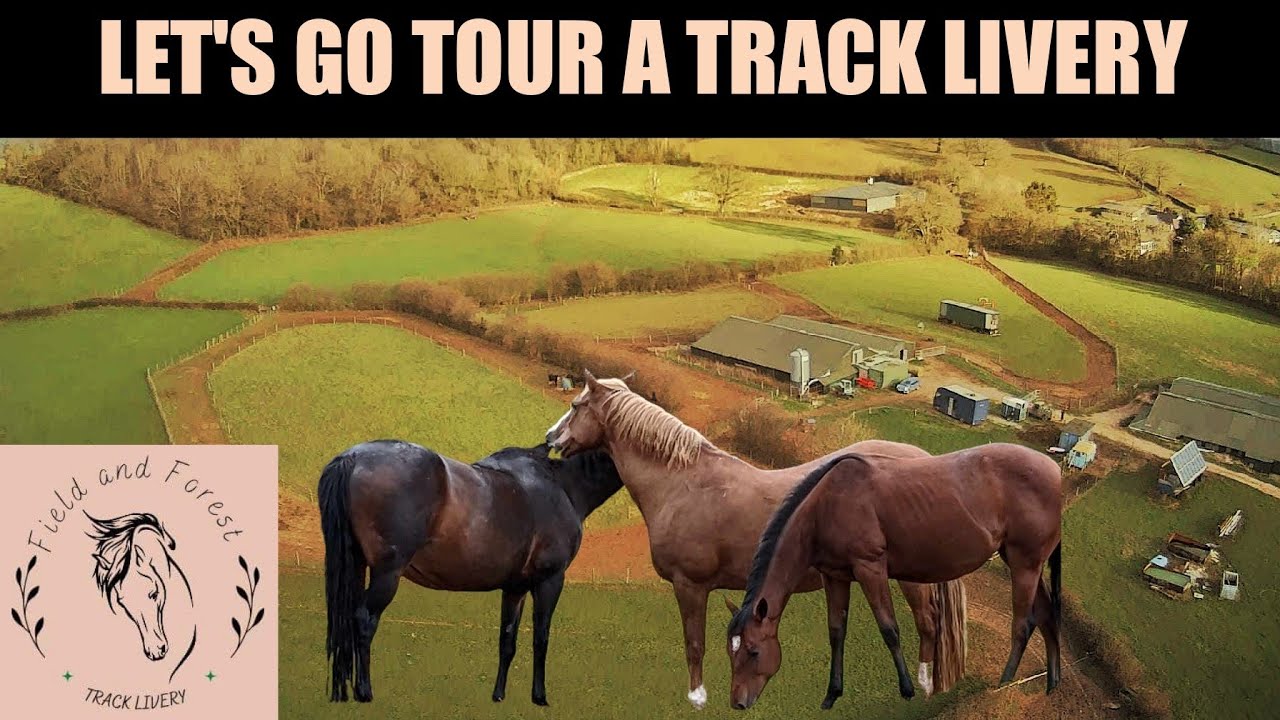 VISITING FIELD AND FOREST TRACK LIVERY FOR HORSES AND PONIES