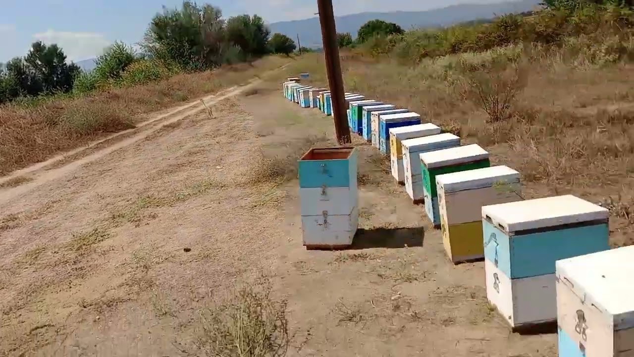 Στα μελίσσια 25 Αυγούστου