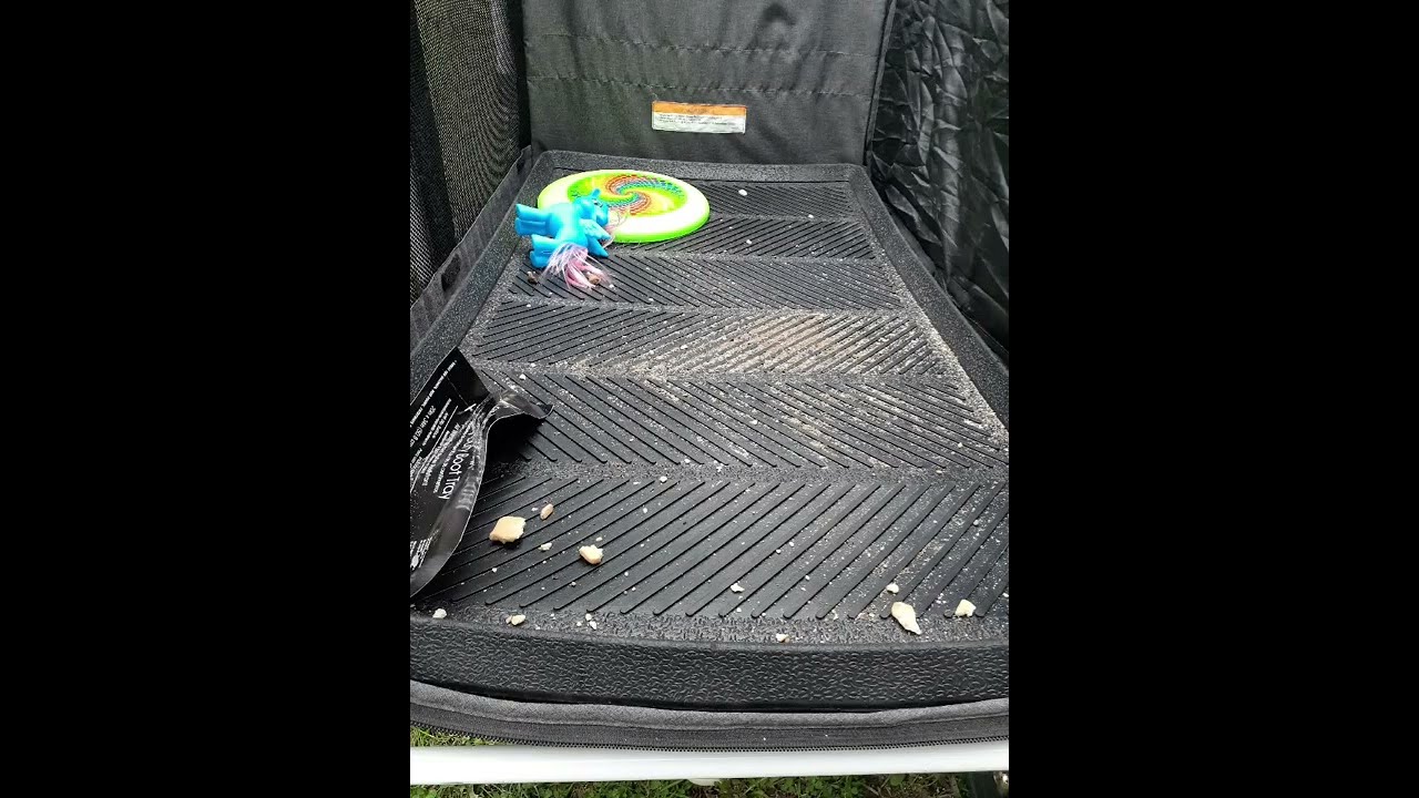Wonderfold Wagon:  $5.99 mat hack versus the highly sought after all weather mat.
