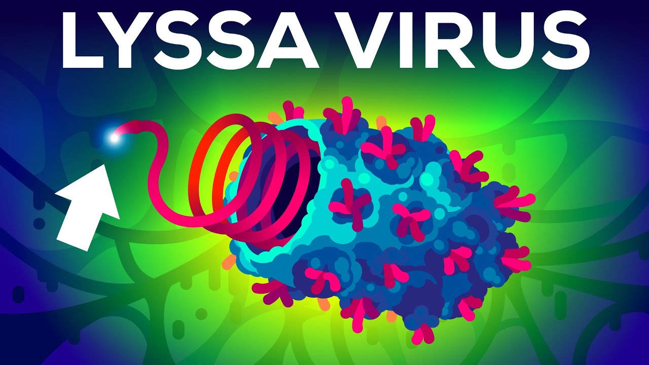 Das t&ouml;dlichste Virus der Welt