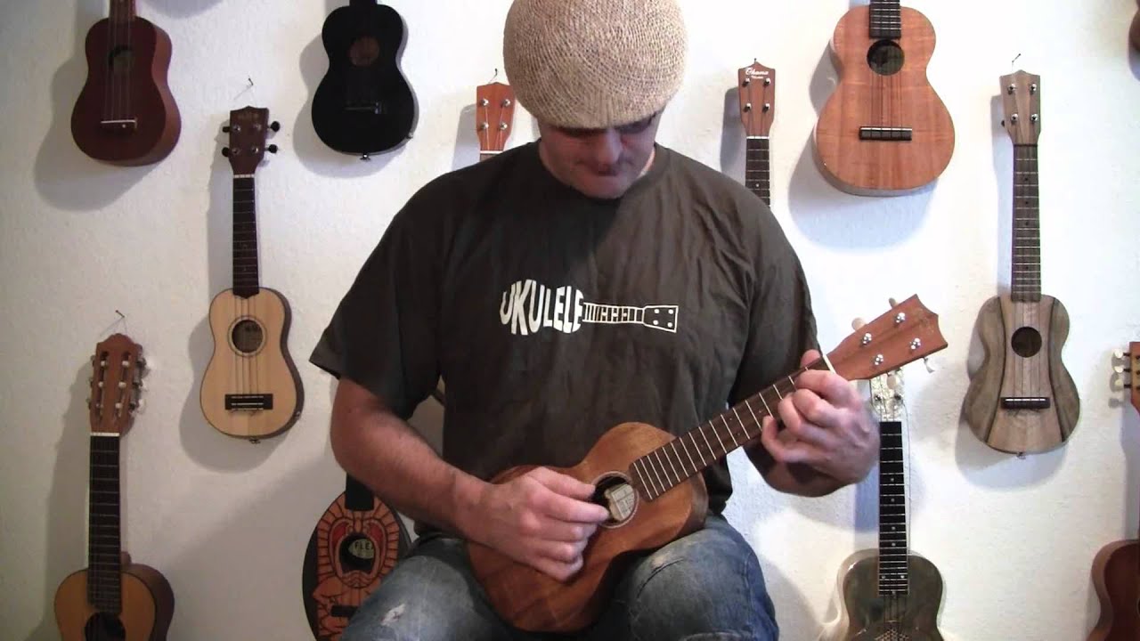 Wake Me Up When September Ends-Green Day(ukulele solo cover)