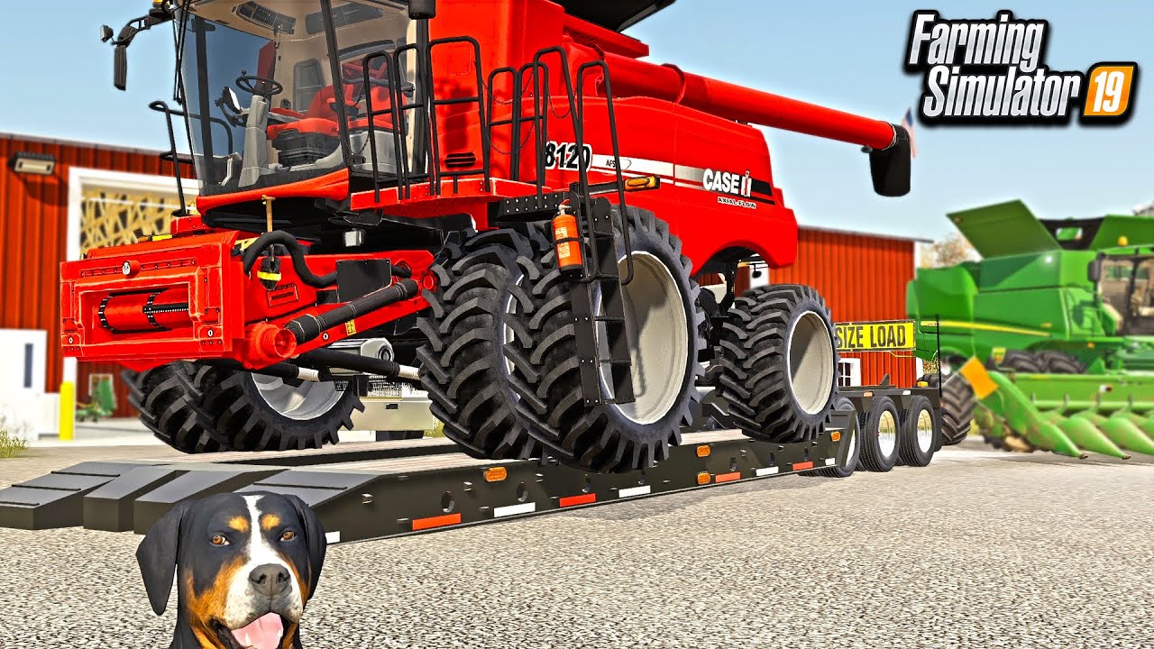 NEW CASE IH COMBINE ON FARM! (CORN HARVEST & BEAR APPROVES!) | FARMING SIMULATOR 2019