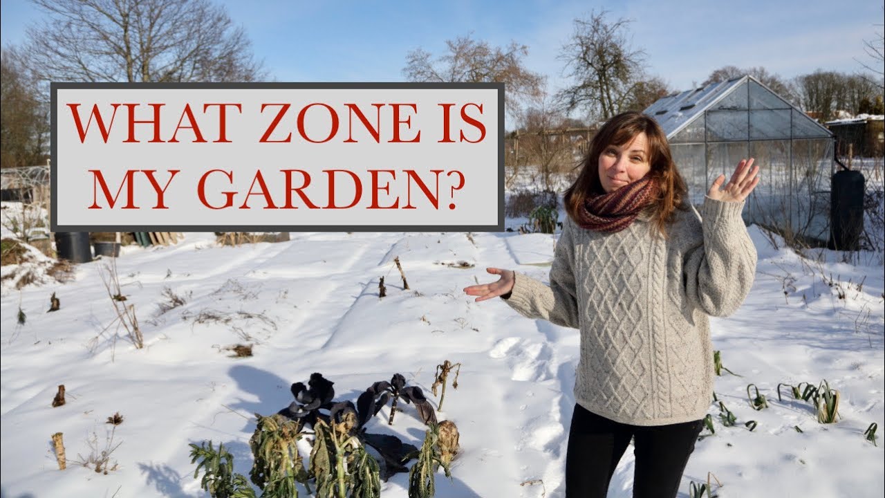 What hardiness zone is my garden?