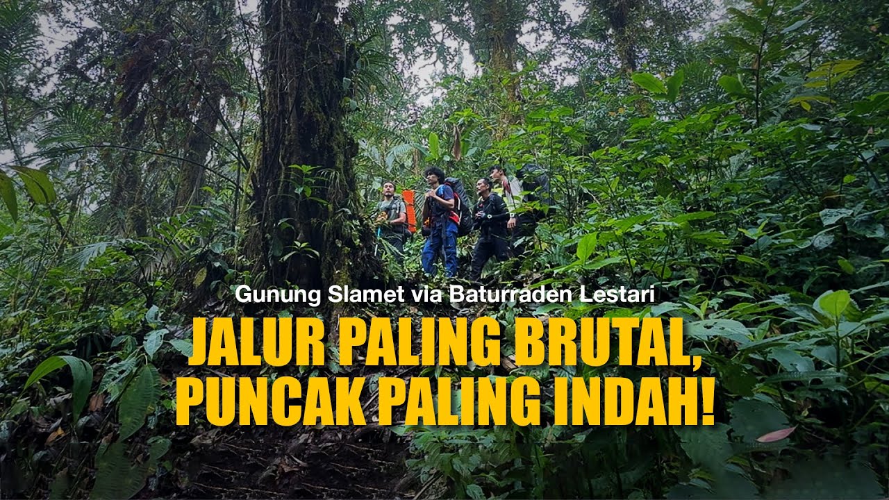 Gunung Slamet via Baturraden | Jalur Sepi Hutan Lebat