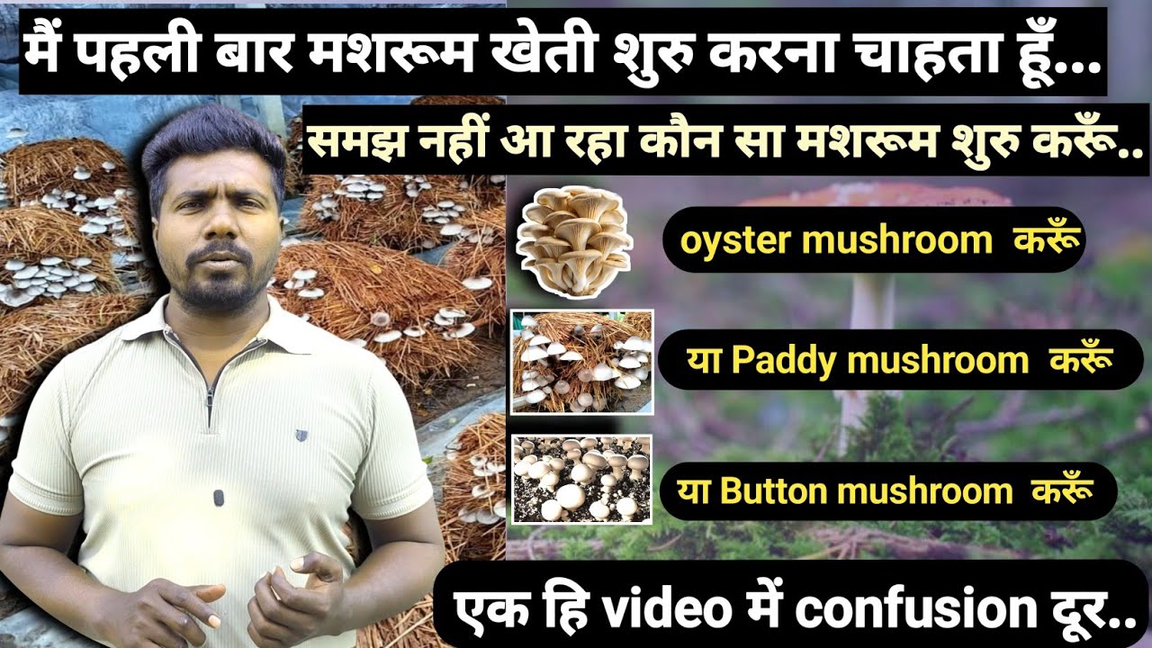 कौन से मशरूम की खेती करें 🍄 । Oyster vs Paddy vs Button mushroom | Best mushroom for cultivation 