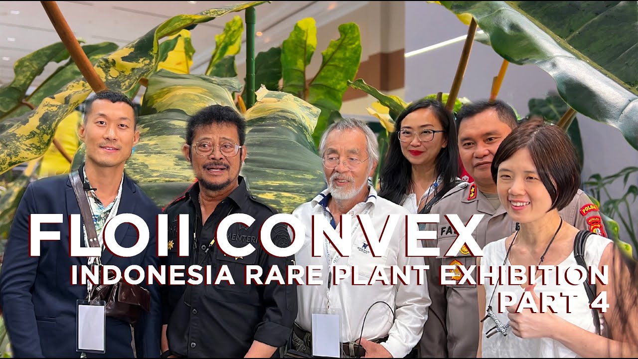 FLOII Convex Indonesia part 4 - Rare And Trending Plants Tour