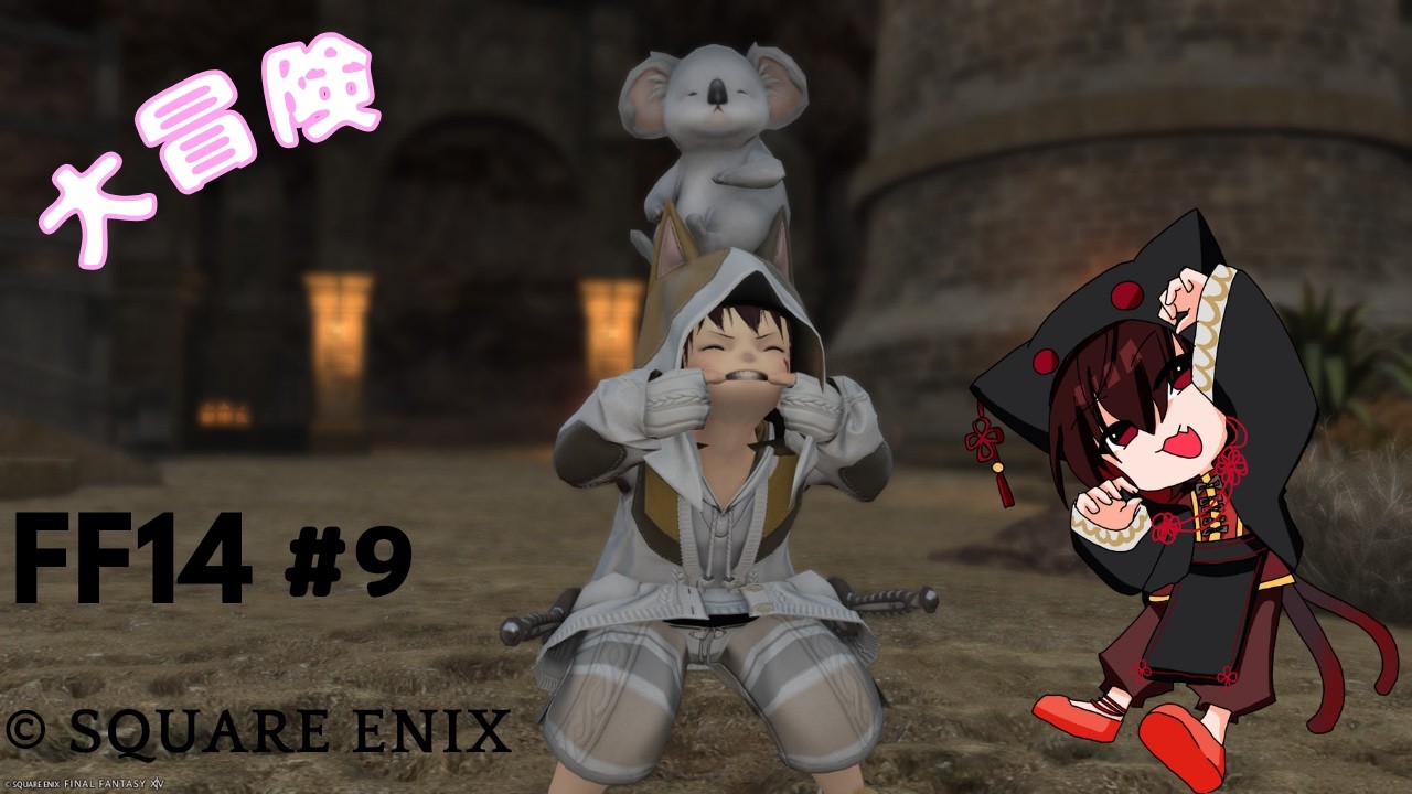 【FINAL FANTASY XIV】　忍者ジョブで大冒険　#9 概要確認必須