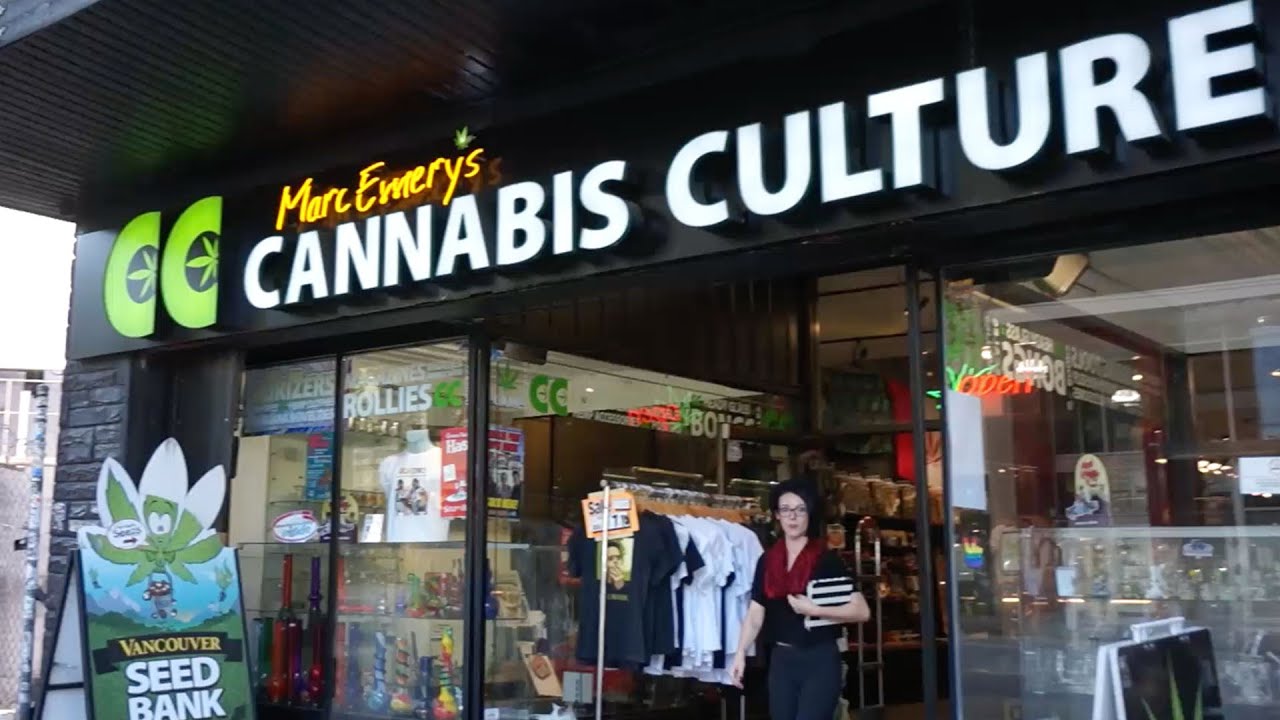 Walk Through of Cannabis Culture's Headquarters