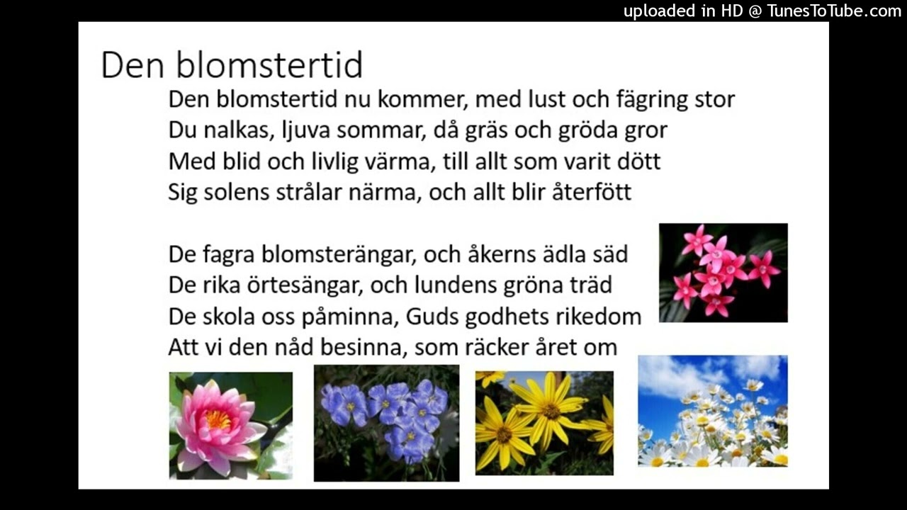 Öva: Den blomstertid nu kommer