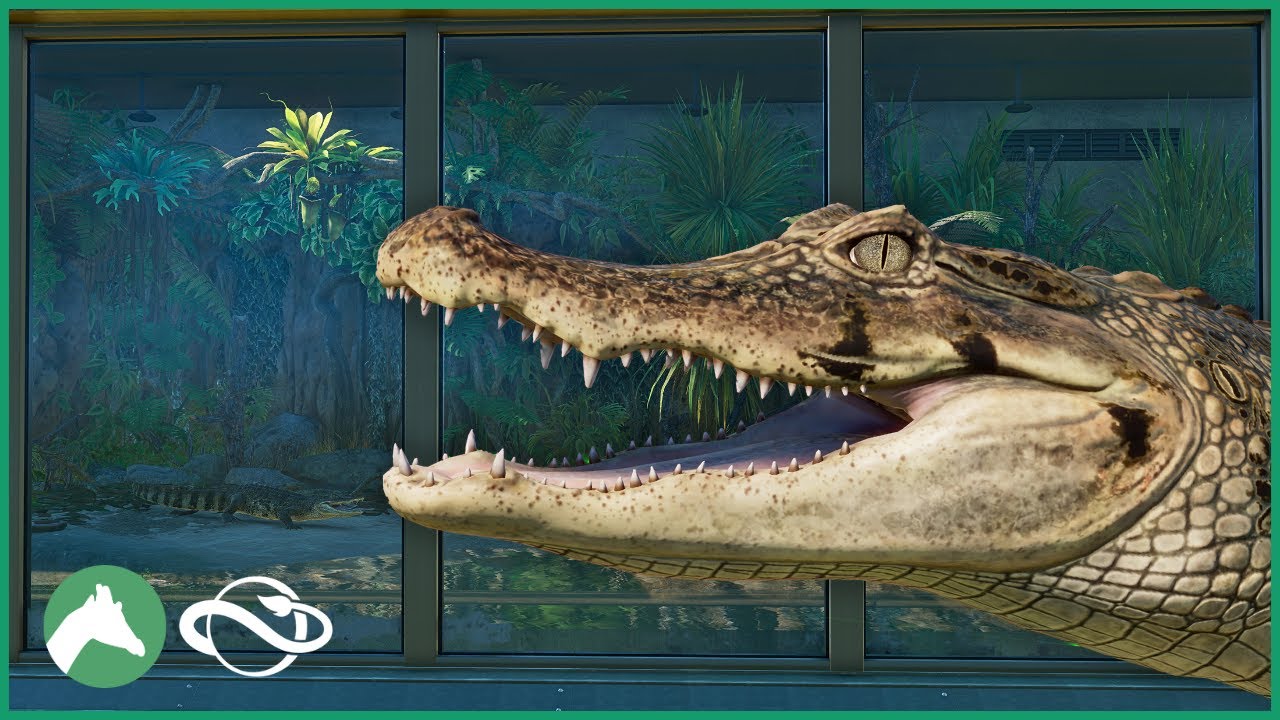 Building an Indoor SPECTACLED CAIMAN Habitat in the Elm Hill City Zoo! | Planet Zoo