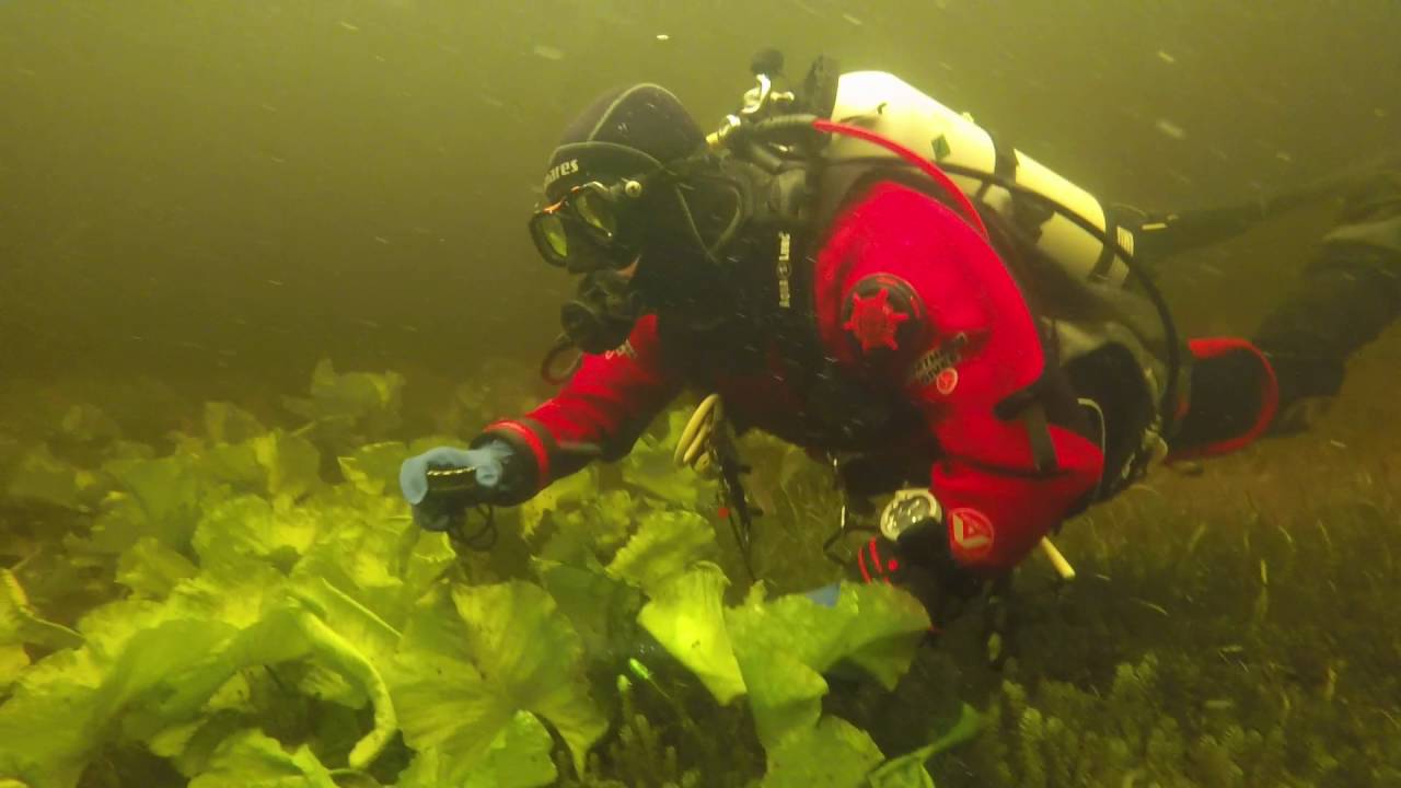 #1 Dive Log Deadly eal and amazing dive at lough Derravaragh Ireland ;))