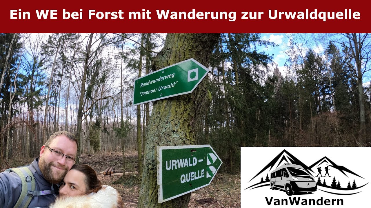 Brandenburg Wanderung zur Urwaldquelle bei Forst