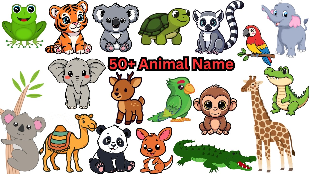Different Types of Animals | Animal Names for Kids | Learn Animals with Fun Animation| #KIDIZU