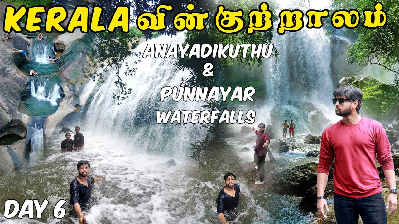 Thodupuzha | Anayadikuthu Waterfalls | Punnayar Waterfalls