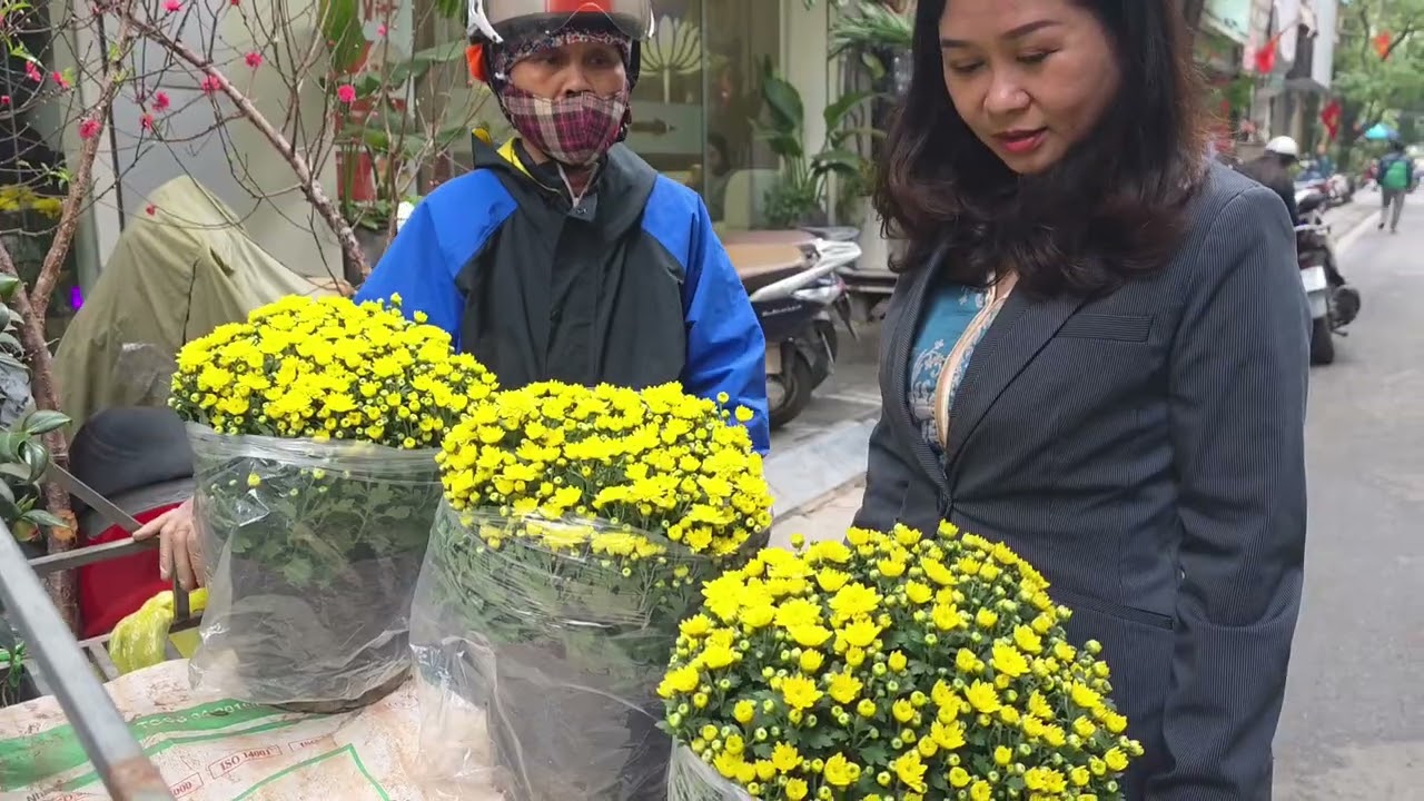 Đào mai cúc về phố. Chở mùa xuân về nhà