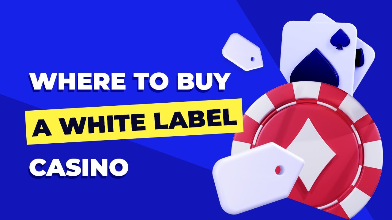 What Is a White Label Casino and Why It's the Easiest Way to Start Your iGaming Business