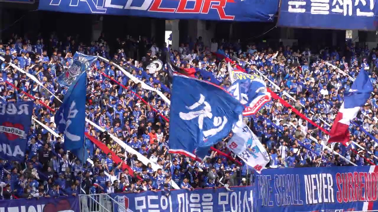 8# 2026.03.14.토 전남전 응원직캠4K 날아가 블루윙