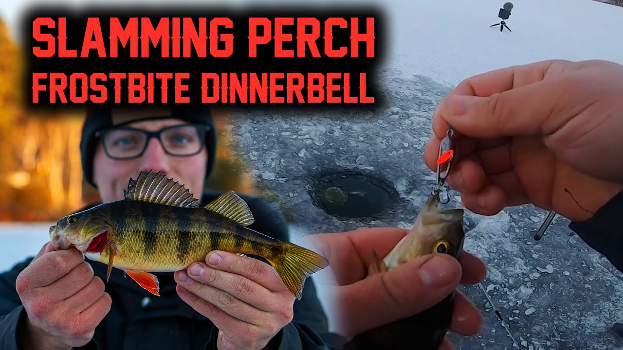 Ловля окуня на приманку FROSTBITE DINNER BELL (ЭТА ПРИМАНКА ПОТРЯСАЮЩАЯ!!!) Подлёдная рыбалка в Онтарио