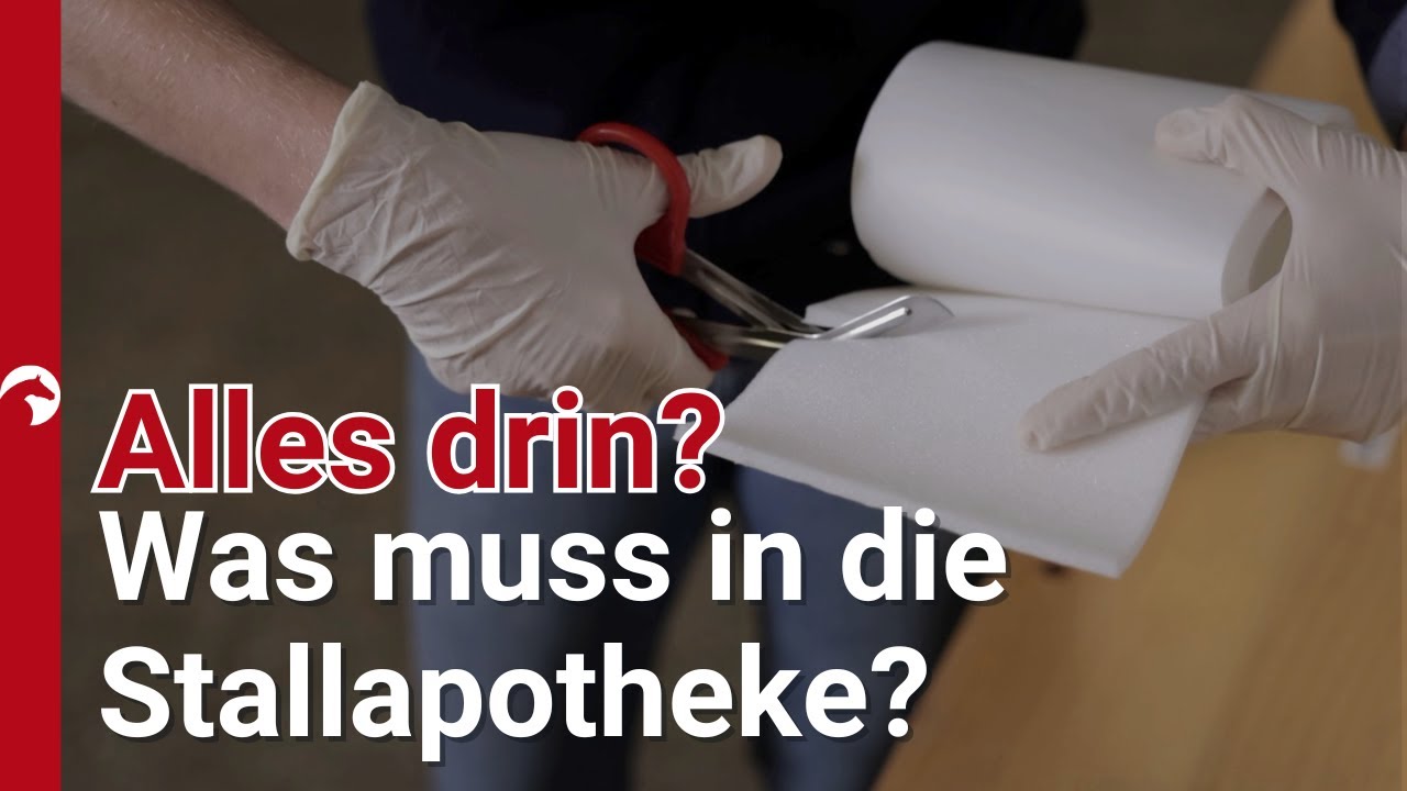 Notfallvorsorge im Stall: Die wichtigsten Tipps für eine vollständige Stallapotheke