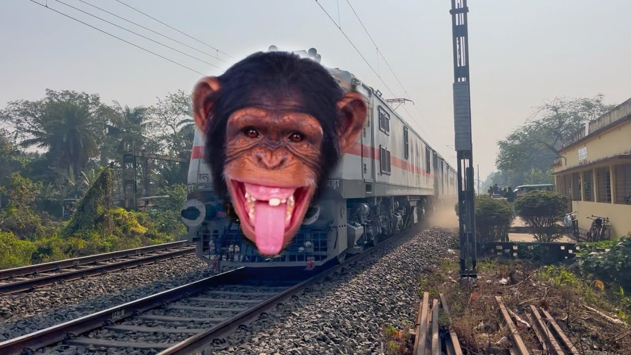 Dangerous Chimpanzee Headed Balurghat Express Extreme Furious Moving Throughout at Railgate 