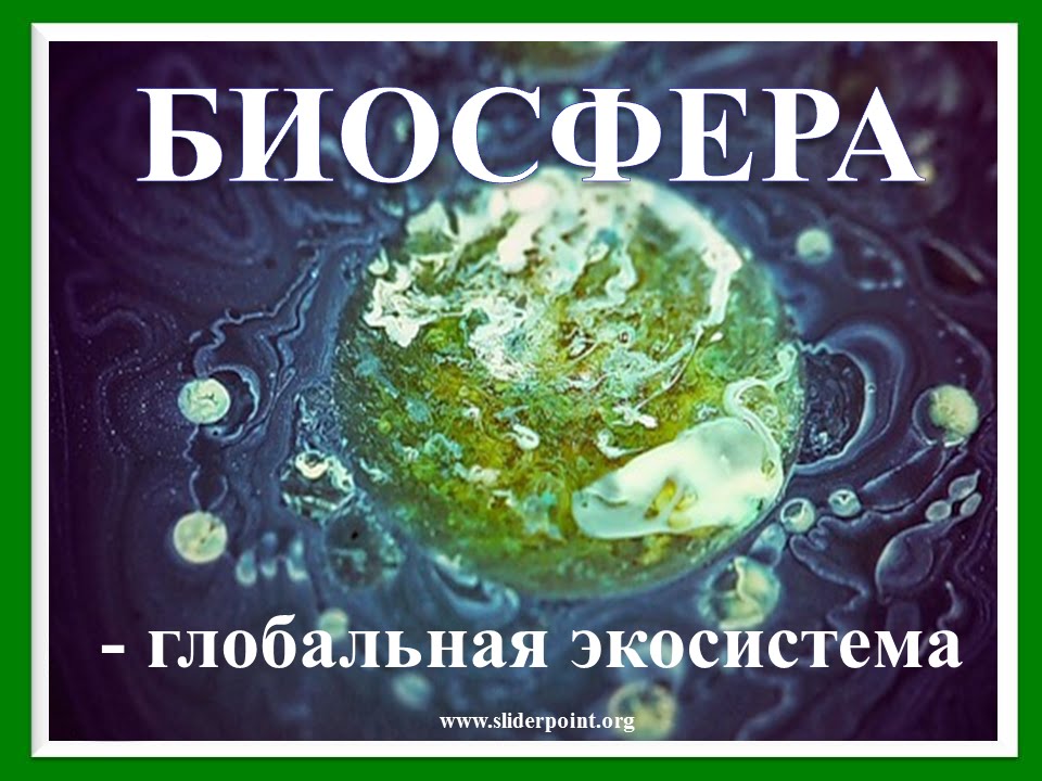 Биосфера