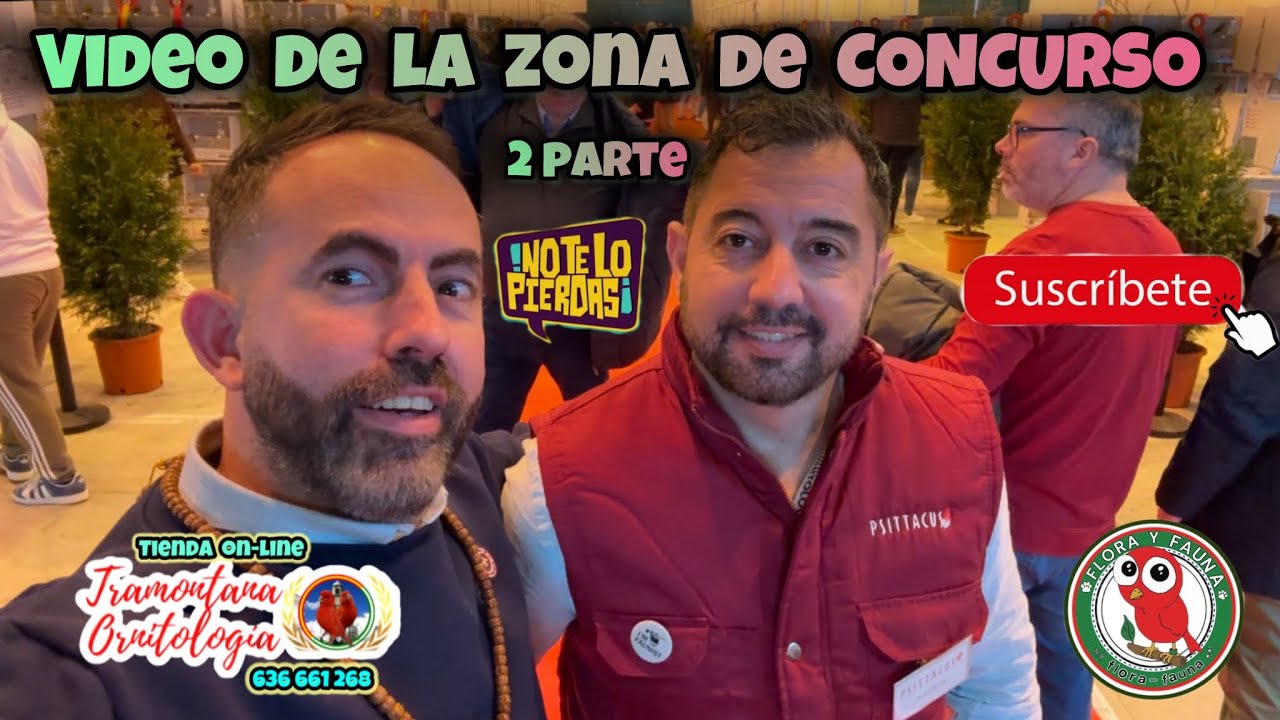 Zona concurso mundial Portugal 2025