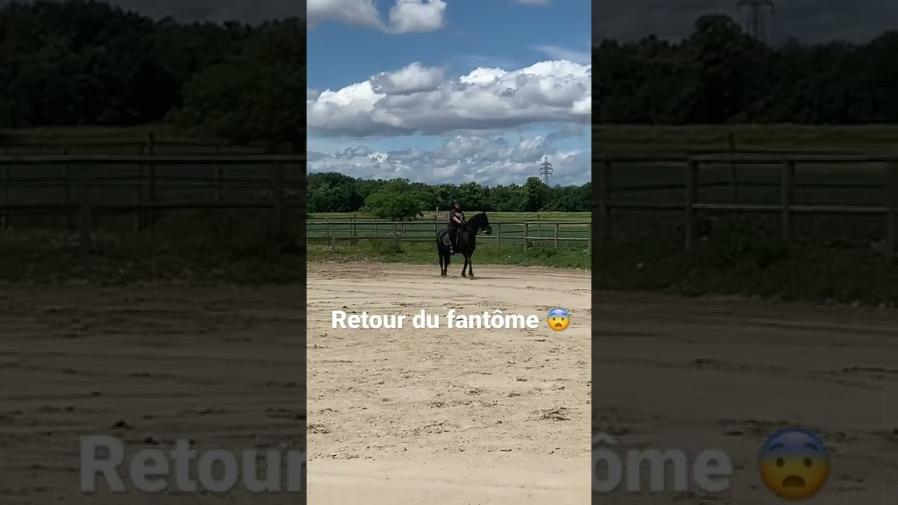 L&eacute;a et Gandalf, cheval peureux