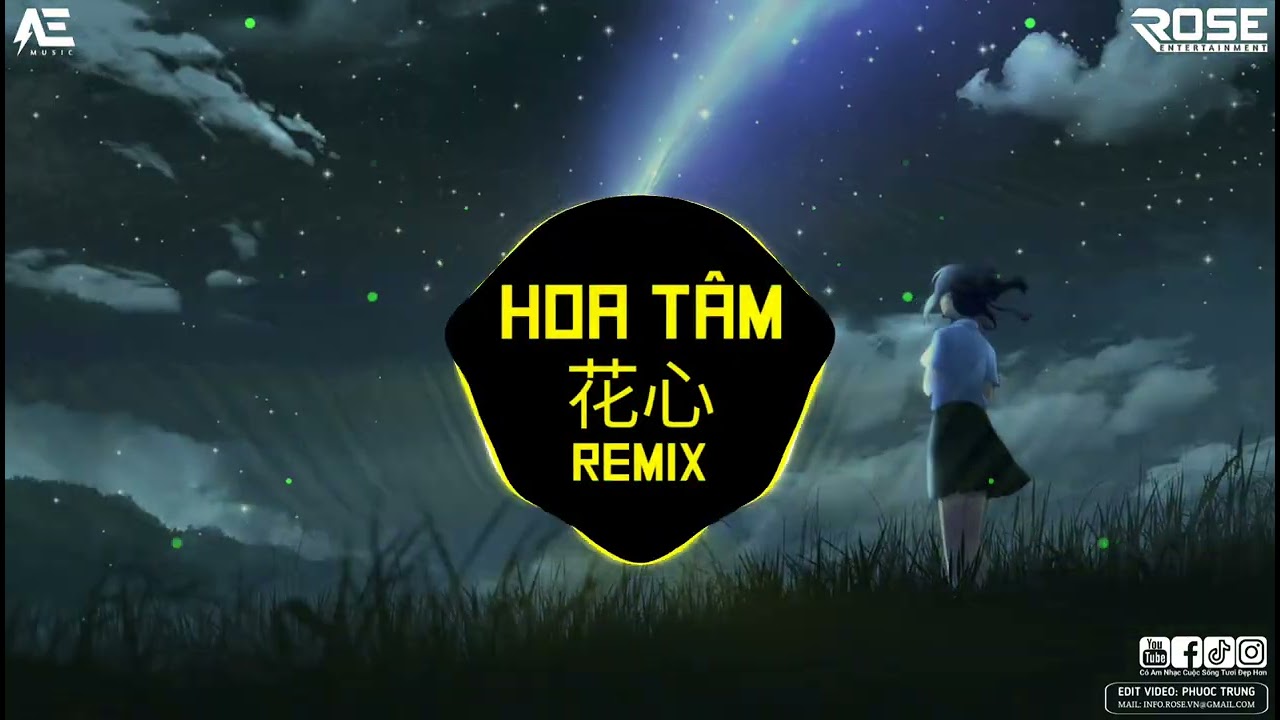 Hoa T&acirc;m Remix - Trương B&iacute;ch Thần | 张碧晨 - 花心 (DJ抖音女声版 ) Nhạc Hot TikTok 2022