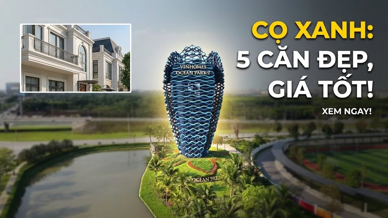 TOP 5 CĂN CHUYỂN NHƯỢNG GIÁ TỐT VỊ TRÍ ĐẸP PHÂN KHU CỌ XANH VINHOMES OCEAN PARK 2