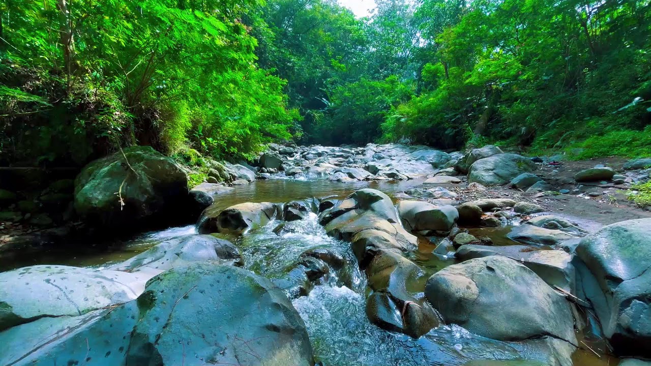 Beat Stress in Minutes to Deep Sleep with Rapids River Sounds Flowing Close-Up Over Natural Rocks