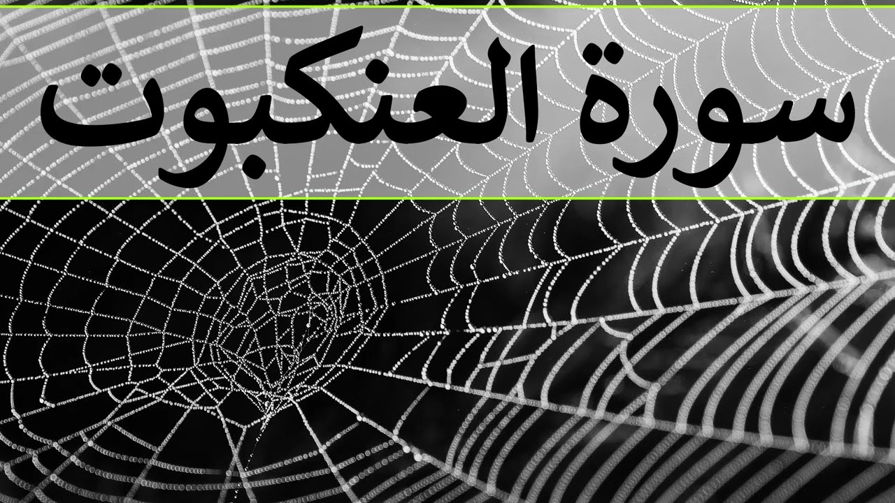 تلاوة سورة العنكبوت كاملة للقارئ احمد الشبلي | surah Al-Ankaboot
