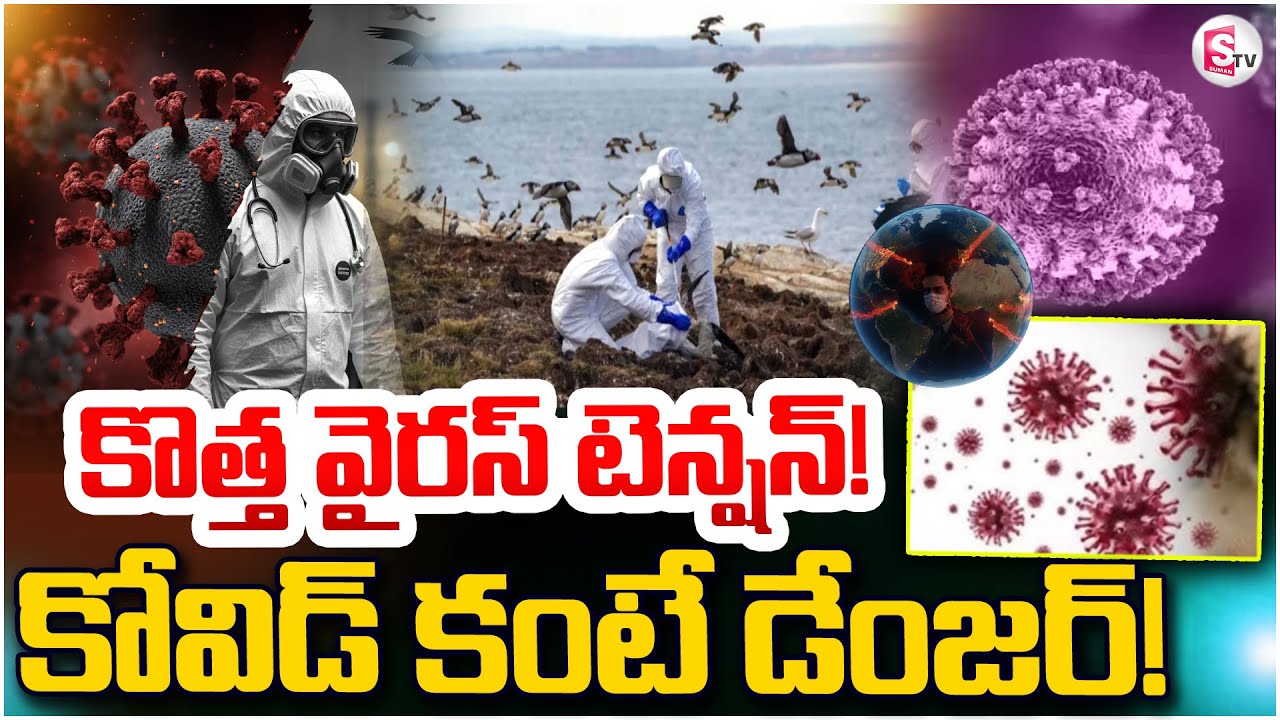 H5 Bird Flu New Virus Alert |: కొత్త వైరస్ టెన్షన్ | Telugu Latest News | @SumanTVPrimeTelugu