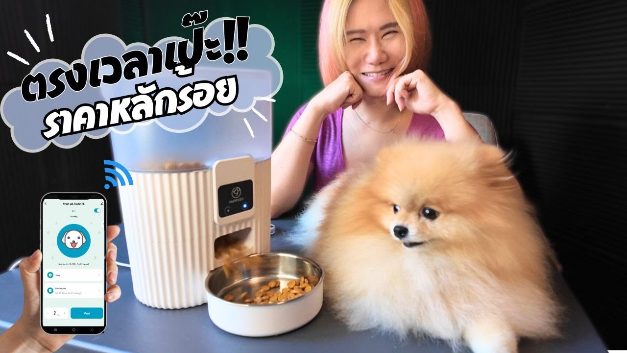 รีวิว เครื่องให้อาหารสัตว์อัตโนมัติ ราคาหลักร้อย ใช้งานได้จริงไหม by Banana Diary