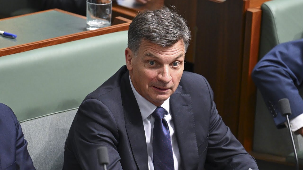 ‘We aren’t a strong Opposition’: Liberal MP supports leadership spill