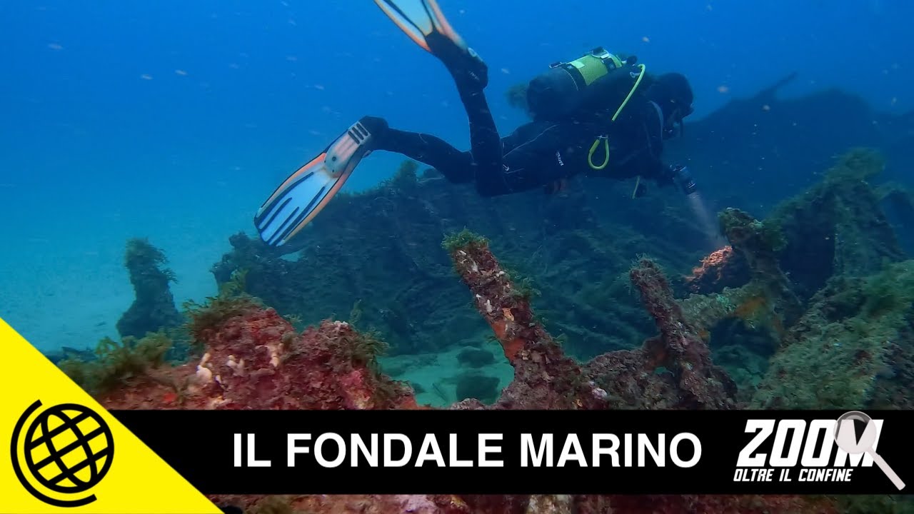 Alla scoperta del fondale marino | Scienza Channel