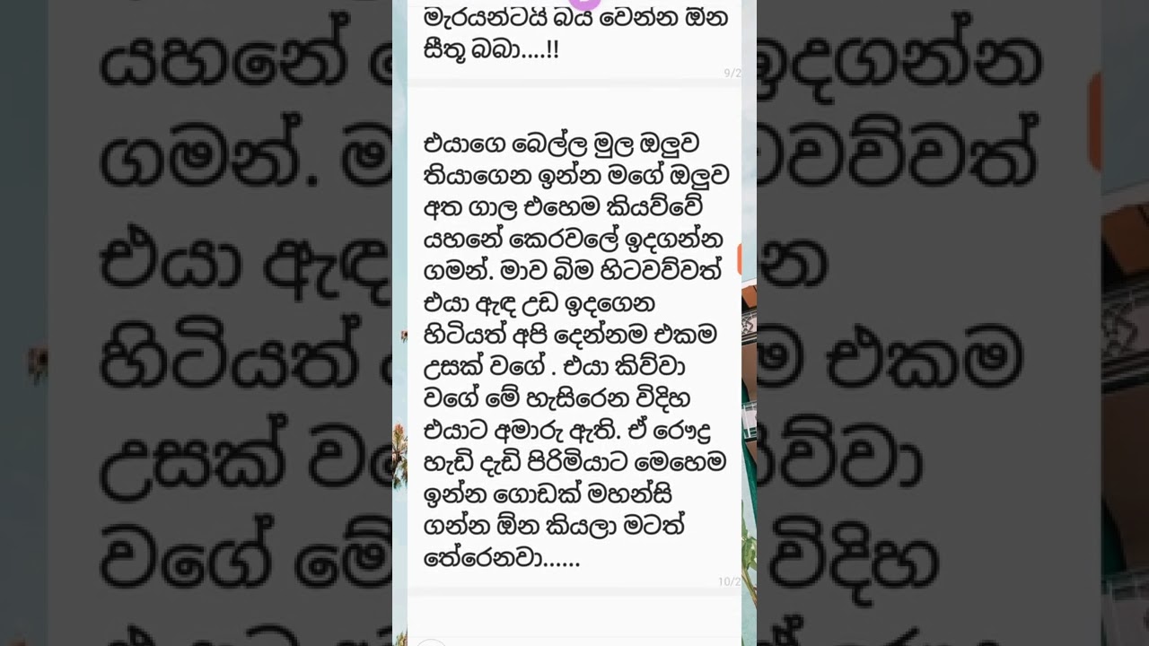 රුදුරු සිත් 12